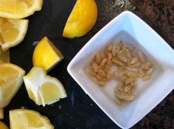 Как поливать лимон в домашних условиях зимой и летом, опрыскивание и полив комнатного лимона водкой, перелив дерева