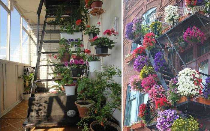 Какие цветы посадить на балконе чтобы цвели все лето (северная и южная сторона): фото с названиями