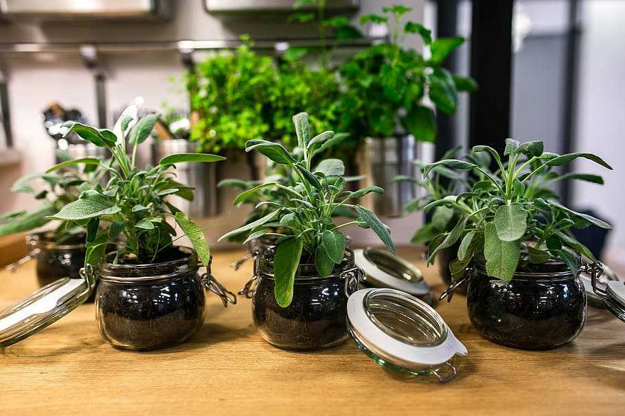 5 самых эффективных пластиковых зажимов для подвязки растений с aliexpress.