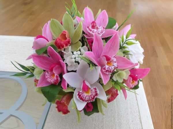 Почему вянут цветы у орхидеи? как часто поливать орхидею в домашних условиях? уход за орхидеей после цветения