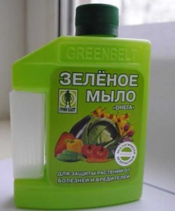 Зеленое мыло - инсектицид от вредителей, инструкция по применению