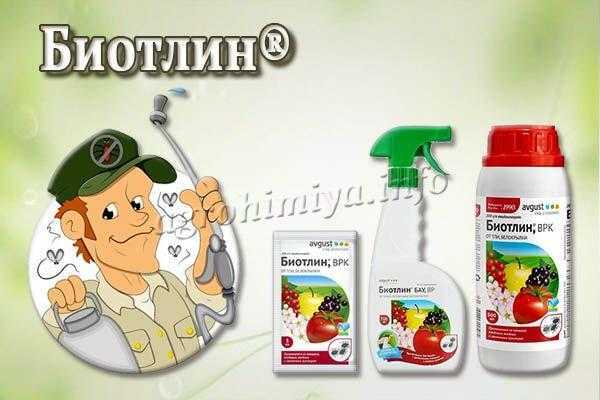 Пестициды против белокрылки на томате - 45 препаратов