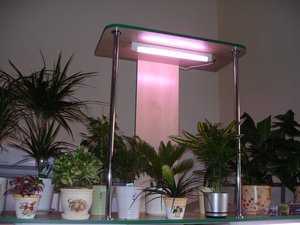 Светодиодные лампы для растений: особенности led-светильников. как организовать правильную подсветку комнатных цветов на подоконнике фитолампой?