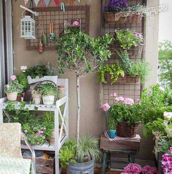Выращивание цветов на балконе — несложное и увлекательное занятие Какие разновидности растений походят для этих целей и как превратить лоджию в мини-сад