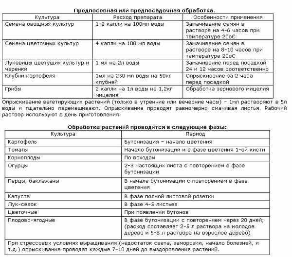 Биостимулятор «циркон» — основные характеристики и способы применения. фото — ботаничка.ru