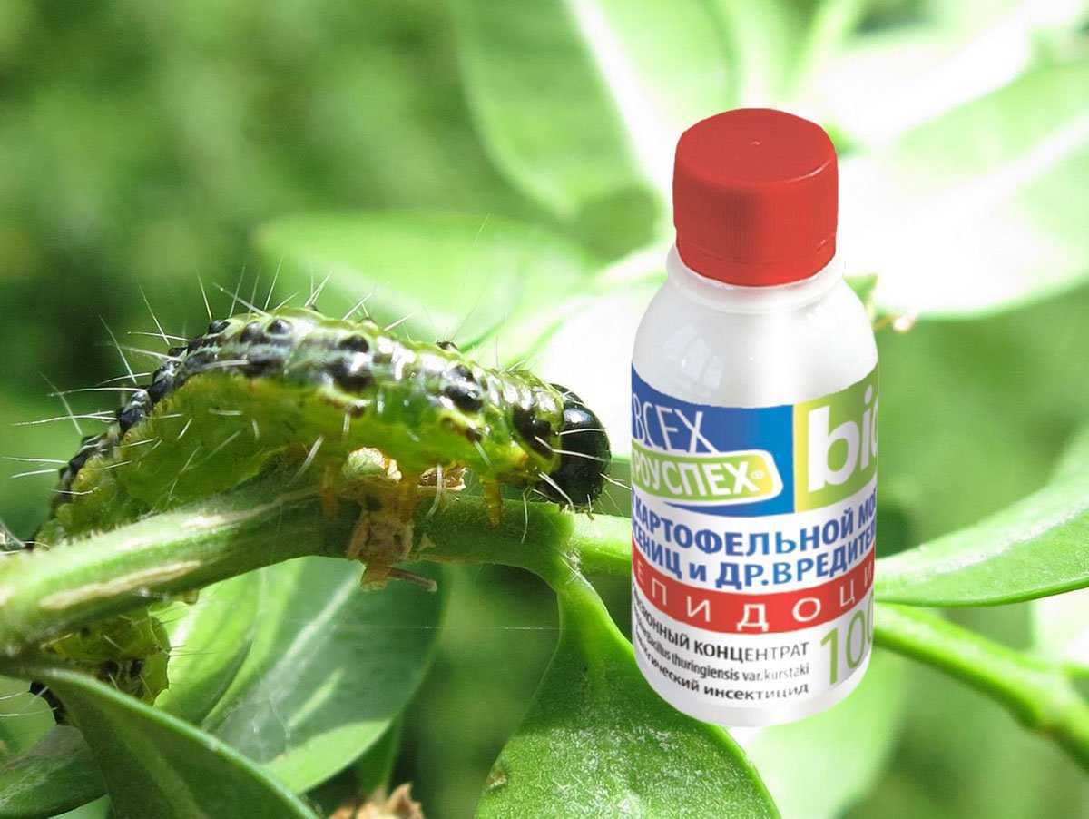 Лепидоцид, п (инсектициды и акарициды, пестициды) — agroxxi