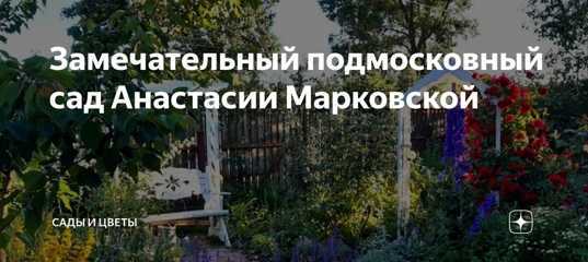 Смородина - 98 фото самых лучших сортов и отборных кустов