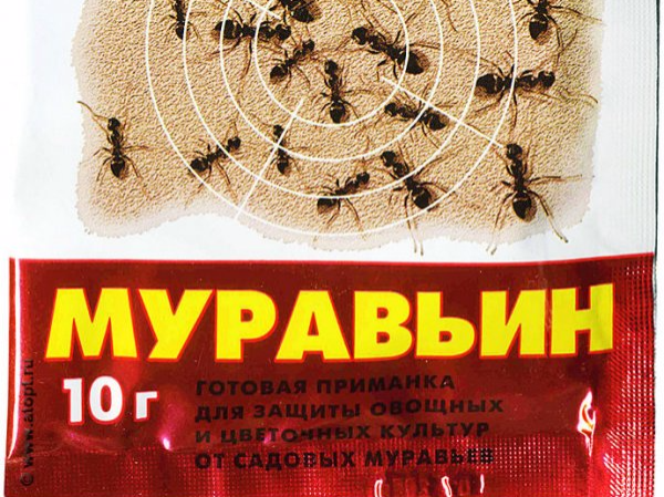 Инсектицид актара – инструкция по применению препарата