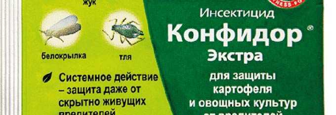 Инсектицид конфидор: описание и инструкция по применению